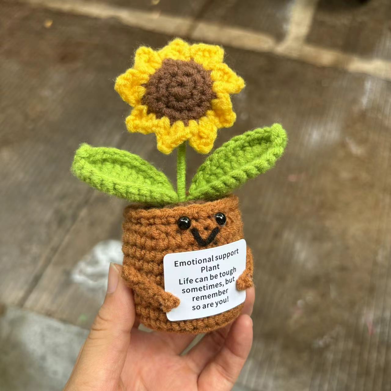Amazon Hot Selling Handmand Emotionlal Support Plant Gift Handmade Potted Plant