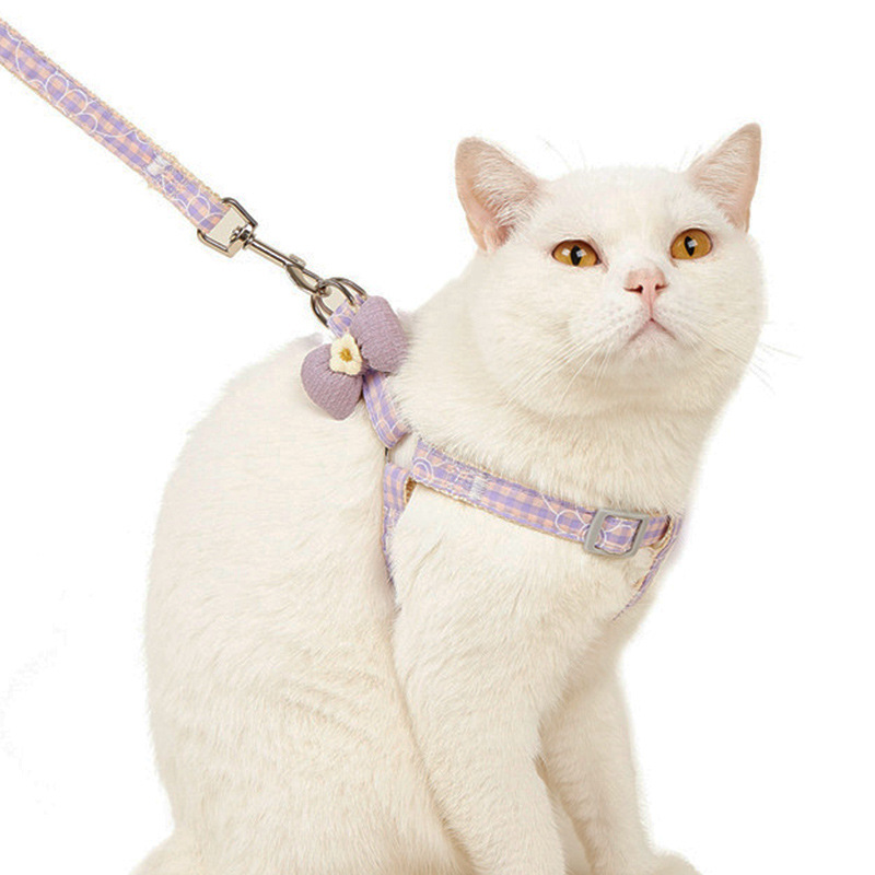 Pet Traction Rope Anti-break Vest Dog Chest Strap Medium and Small Dog Cat Traction Rope Chest Strap Wholesale