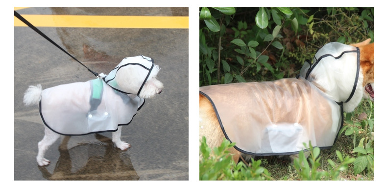 Dog Raincoat Image 21