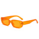 Orange frame orange slice C5