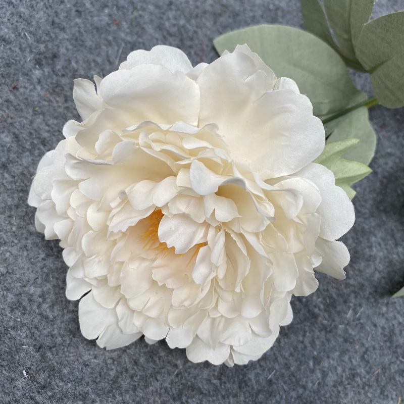Autumn color flower head autumn White
