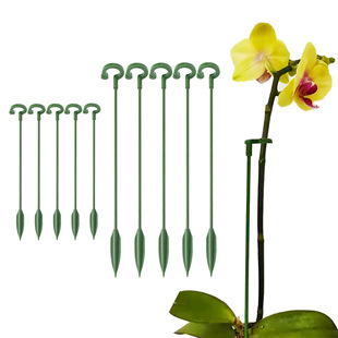Gardening bonsai phalaenopsis bracket phalaenopsis support rod plant pot flower protection frame fixed