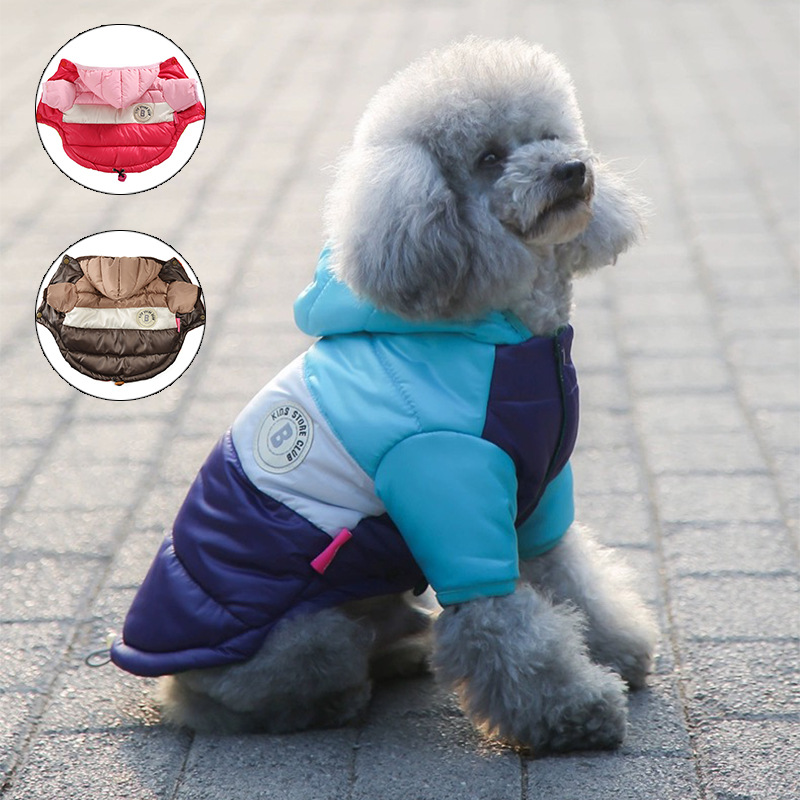 New Pet Clothes Autumn and Winter Cotton Coat Dog Clothes Teddy Small and Medium Dog Warm Contrast Cotton Coat Coat Pet Supplies