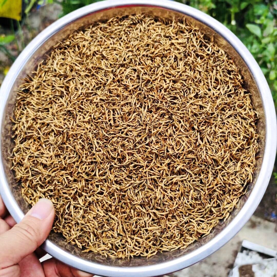 Source Tea Factory Wuyishan Gift Boxes 2025 New Tea Wholesale Jin Junmei Black Tea Bud Middle Bud Special Grade
