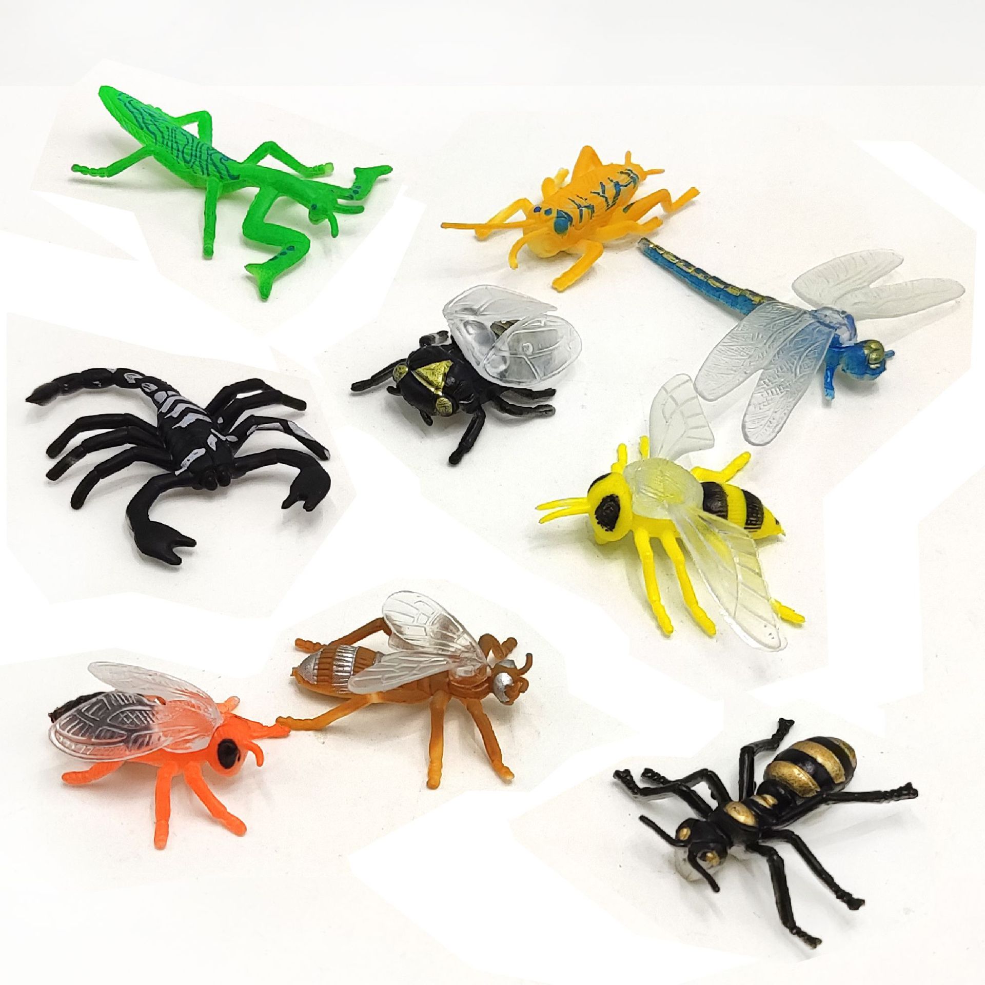12 simulation small insect model mini educational cognitive children's toys mantis model children's toys cross-border