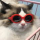 Pet sunglasses cat model fashion love glasses sunglasses dog beach beach photo sunglasses wholesale