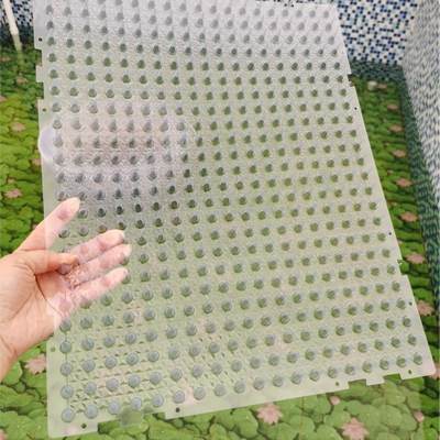 Transparent Anti-Cat Stings Amazon Explosive Anti-Cat Net Cat and Dog Supplies Anti-Cat Stings Pad Pet Mat Anti-Cat Stings Nails