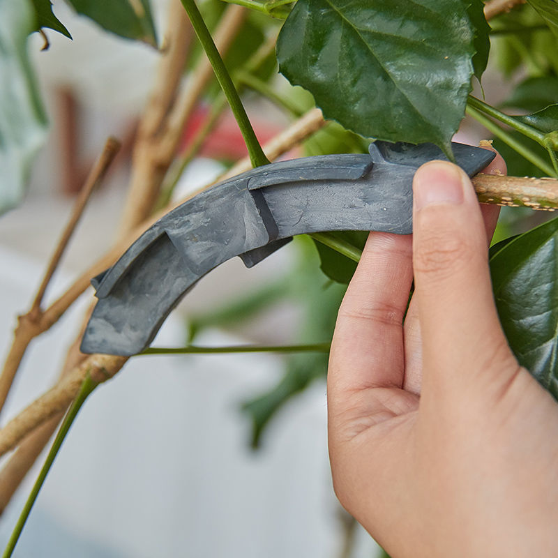 Bonsai making and bending tools press a new generation of 360-degree seedling correcting strips, fixing and twisting branches, clamping fruit trees, pulling and styling device
