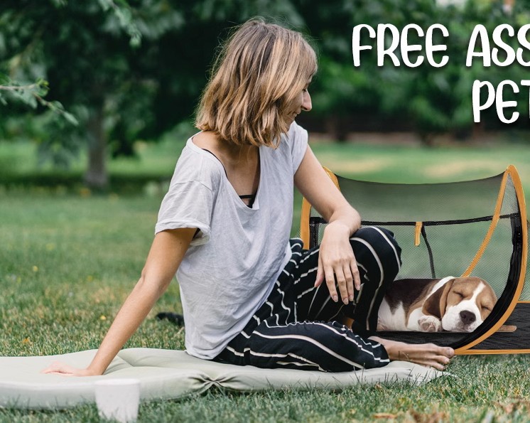 Cross-border Amazon Pet Boat Tent Dog Cage Foldable Storage Cat and Dog Tent Travel Outdoor Pet Nest Cage