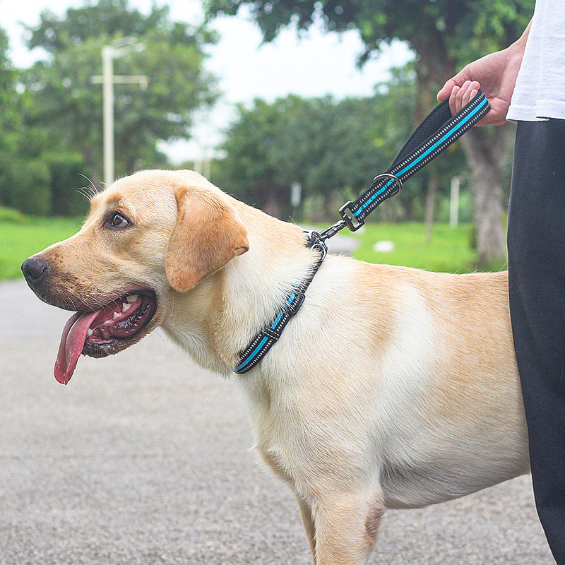 大型犬用犬用リードカプラー 耐久性のあるナイロン素材 ダブルハンドルデザイン 制御が簡単 2匹の犬が一緒に歩く|undefined