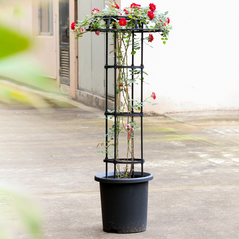 New gardening umbrella-shaped flower stand rose climbing stand tomato cucumber climbing stand cross-border in stock can be labeled