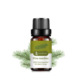 Single: pine needle Pine needles 10ml