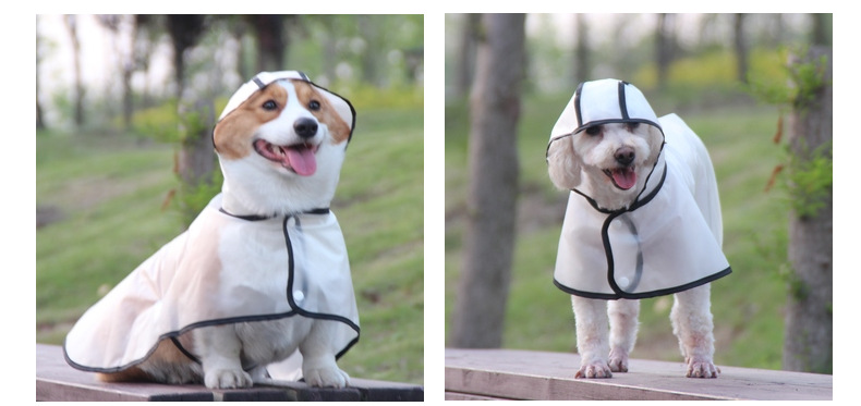 Dog Raincoat Image 15