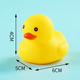 Port 8 duck