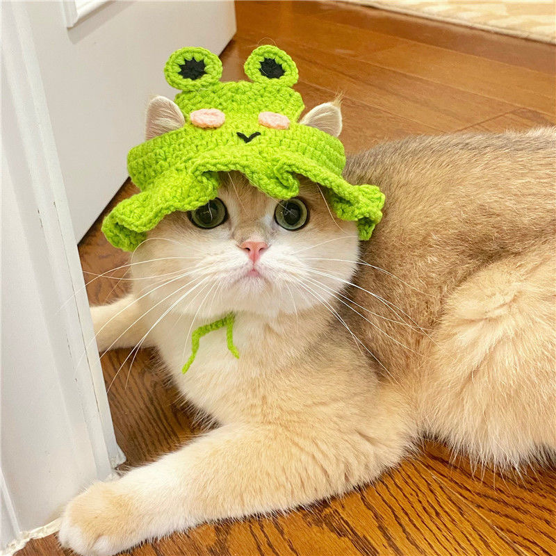 Cat wool knitted hat dog small dog handmade crochet funny cute decorative accessories headdress cross-dressing hat