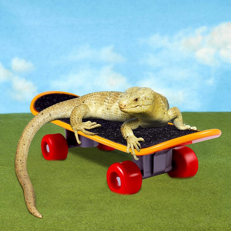 Amazon hot selling pet helmet skateboard 3-piece set pet engineering hat safety helmet hamster lizard parrot toy