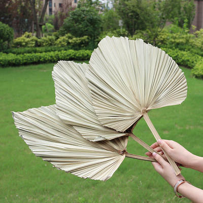 Pu fan leaf dried flower palm leaf fan leaf iron leaf dried flower wedding scene layout floral wall dried heart-shaped fan leaf