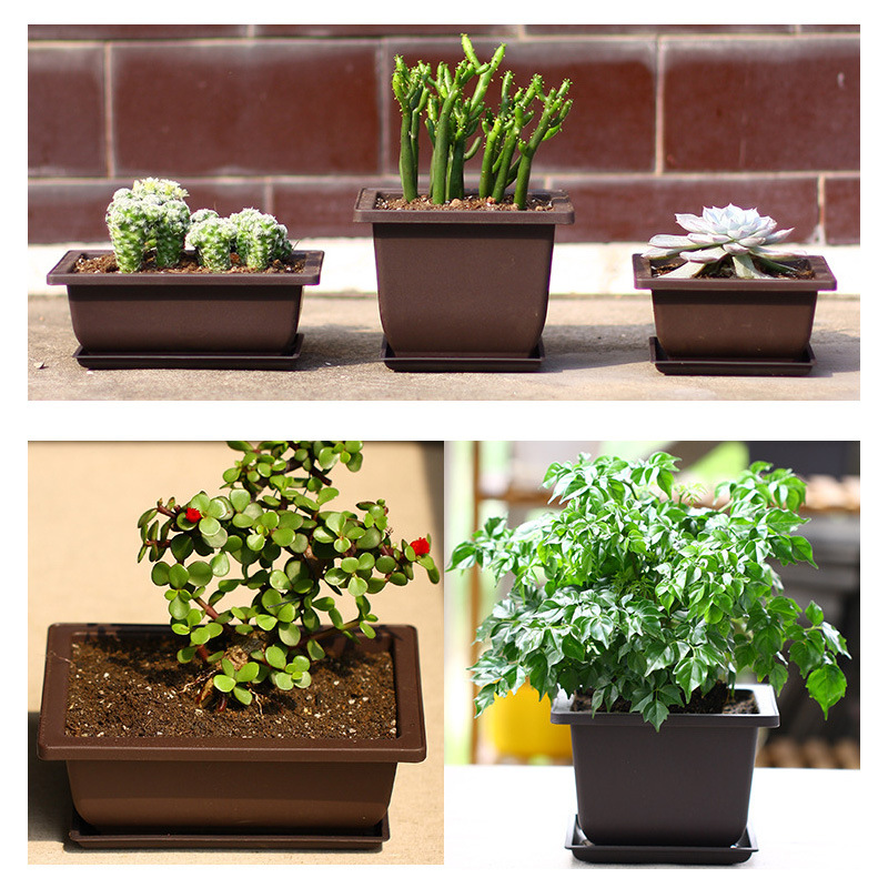Amazon square rectangular imitation purple sand flower pot bonsai pot small potted plastic flower pot wholesale fleshy flower pot