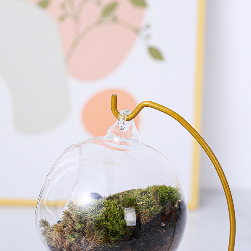Micro landscape iron frame wholesale semi-circular ecological bottle wrought iron stand hanging bottle glass ball DIY hut hook