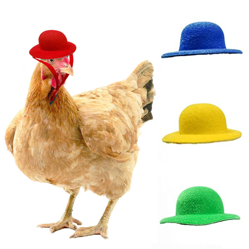New cockscomb headdress pet hat chicken hat chicken supplies for Small Animals funny hat accessories