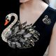 Swan