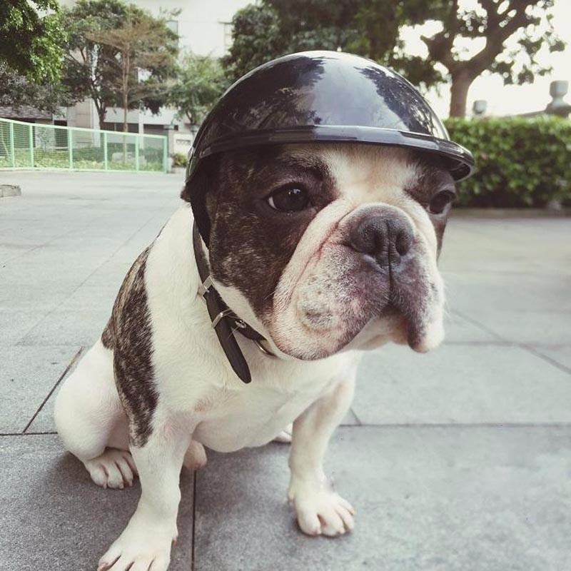 Pet Helmet New Motorcycle Helmet Dog Cat Accessories Pet Toy Hat Headwear Factory Outlet