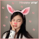 Pig Powder Ear Hair Band