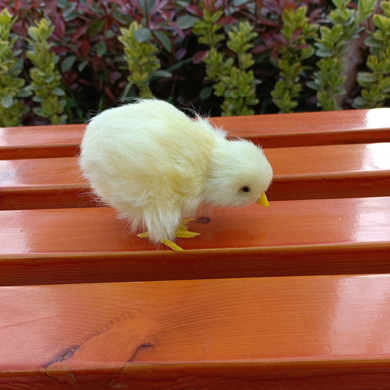Cross-border Simulation Chicken Plush Toy Animal Doll Children's Teaching Easter Supplies Chicken Model Ornaments