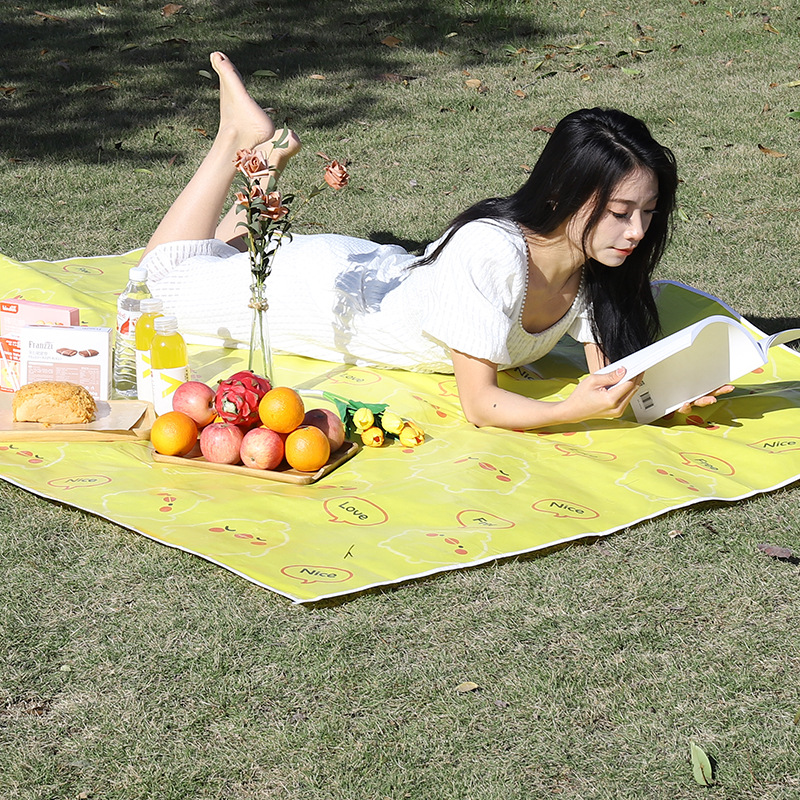 Outdoor Picnic Mat Folding Portable Waterproof Thickened Ins Outings Camping Moisture Mat to Customize Factory in stock