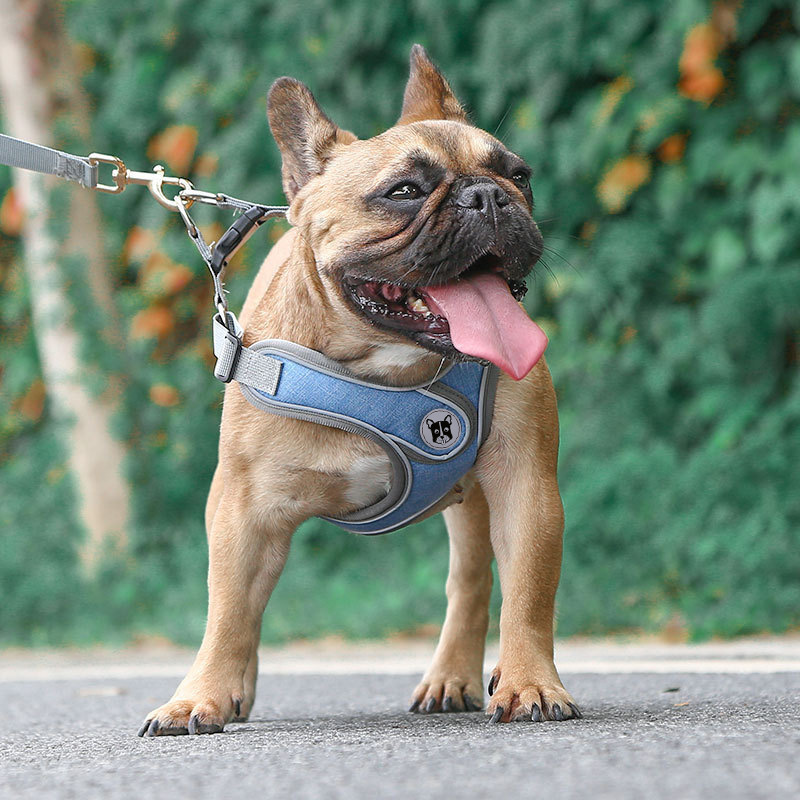 新しい反射抗エスケープベストスタイル犬のリード小型中型犬ペット用品犬の胸ストラップ牽引ロープ|undefined