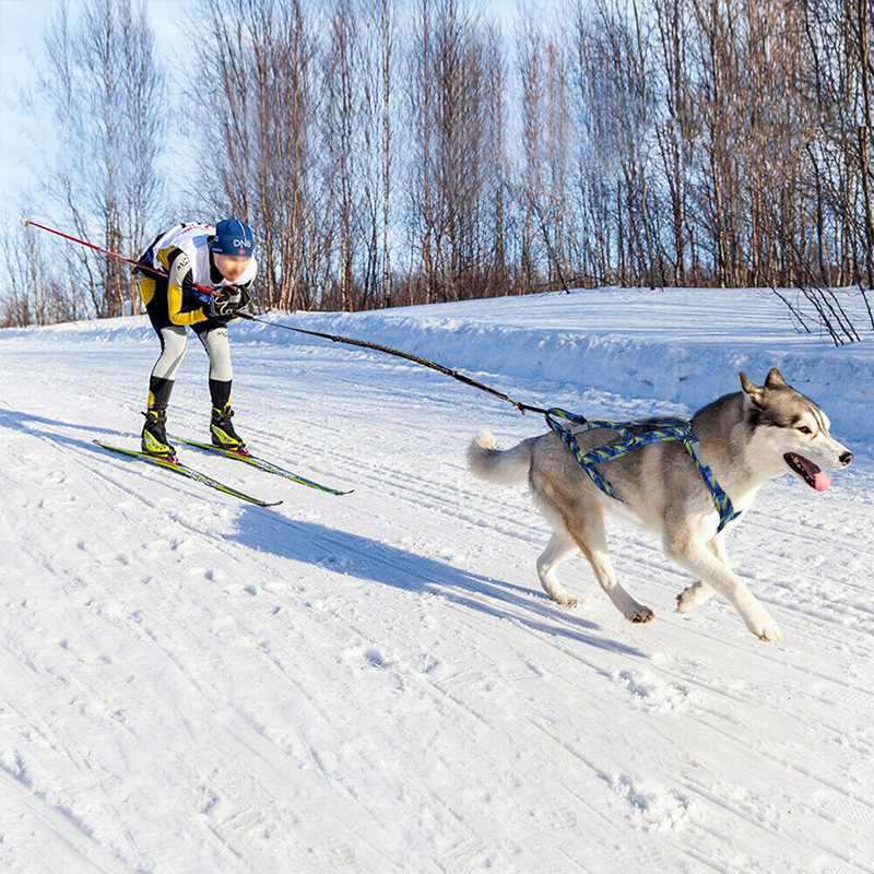 2024 犬そりチェストストラップアラスカンハスキープルカートプル人ペット牽引ロープ耐久性のあるナイロン犬牽引リーシュ|undefined