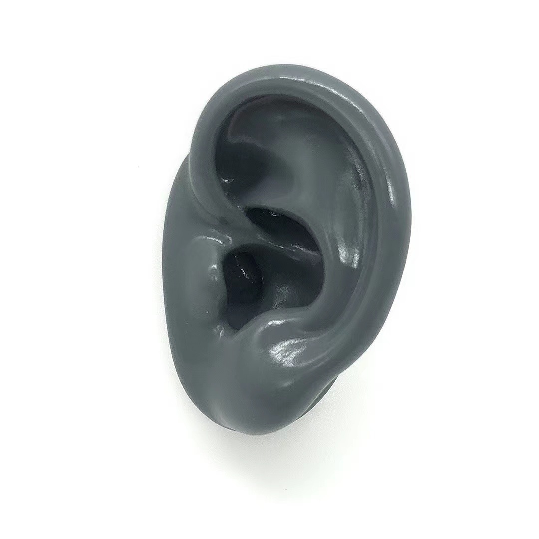 Simulation silicone ear model ear picking teaching headset hearing aid display stand practice acupuncture model jewelry display