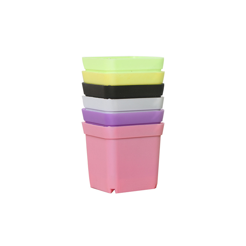 Multi-meat small square pot colorful flowerpot seedling super small square plastic flower pot 5.5cm black square cross-border hot selling