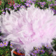 17 light purple