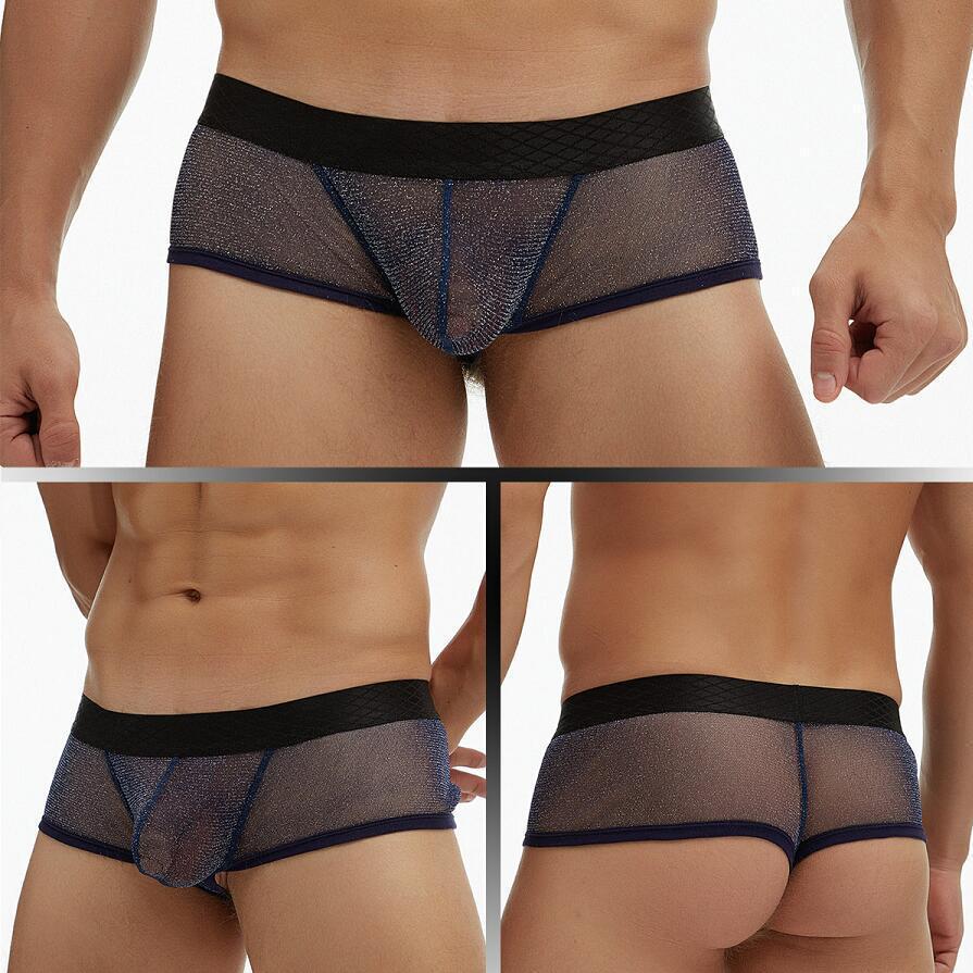 European and American foreign trade gay men's underwear see-through fine mesh bag low waist wide edge small briefs large size E076 