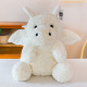 other product image