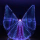 Factory Direct New White led luminous wings dance props Golden Wings transparent wholesale Oriental dance Egypt