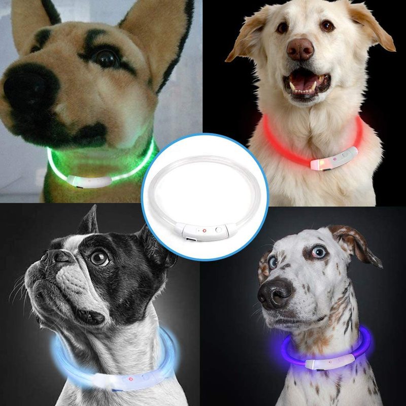 犬の光る犬の首輪ペットの夜光は犬の明かりを散歩します。|undefined