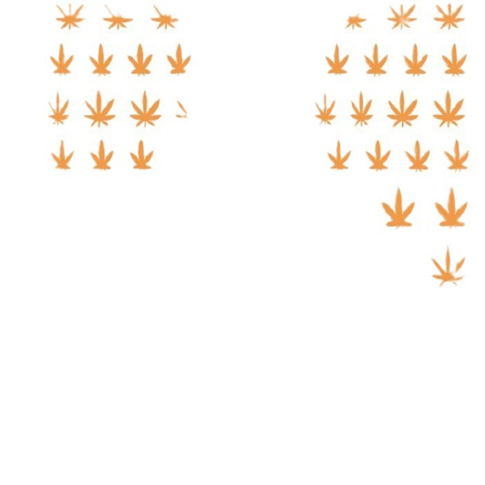 New Maple Leaf nail stickers cross-border e-commerce nail accessories multi-color leaves Maple Leaf nail stickers WG265