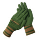 Cheap ordinary army green foam