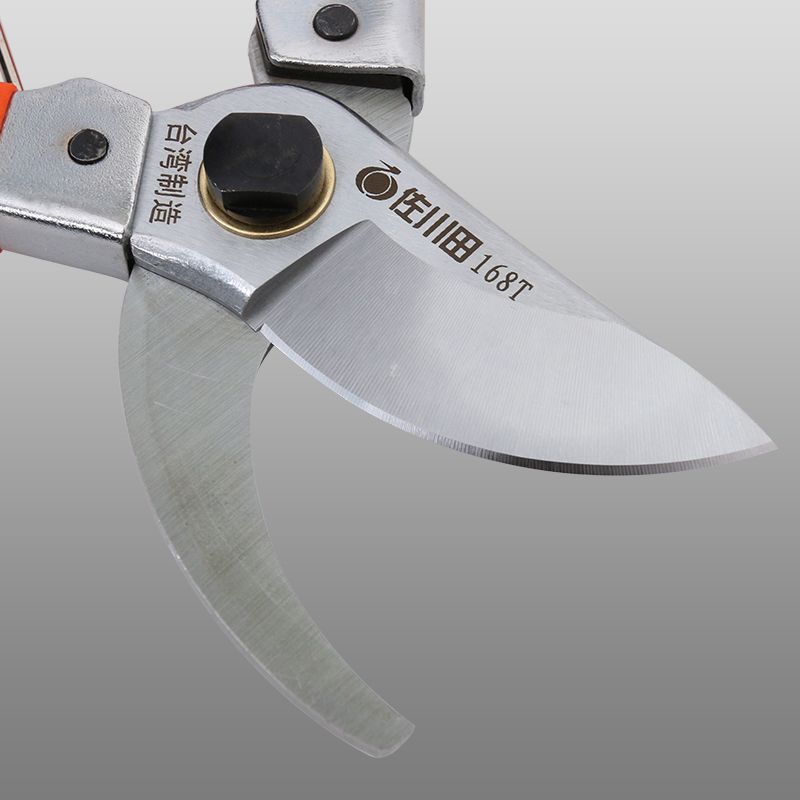 Sagawa Tian household shears garden gardening garden pruning tree shears fruit shears Ji pruning shears 168T iron handle stained with plastic