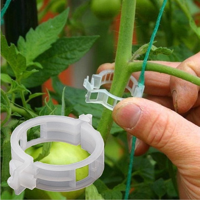 Plant clip/hanging seedling clip/plastic binding Vine clip/binding branch clip/hanging vine clip/holding Vine clip/Vine fixing clip