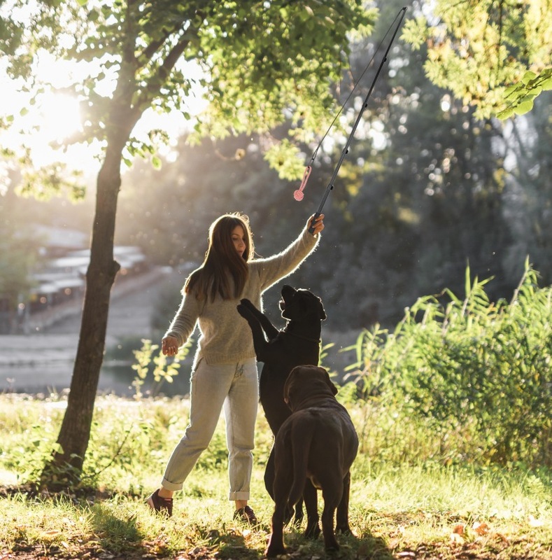 犬のおもちゃきしむぬいぐるみ犬のおもちゃ小型犬用インタラクティブ遊び時間耐久性のある咀嚼|undefined