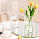 Net red PET yuxiang flower barrel [transparent large and medium-sized small size] total 3; See sku description