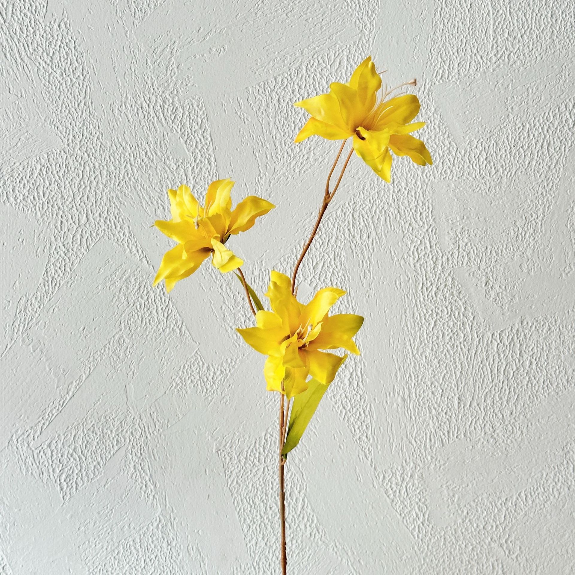 Yellow 3 head small lily