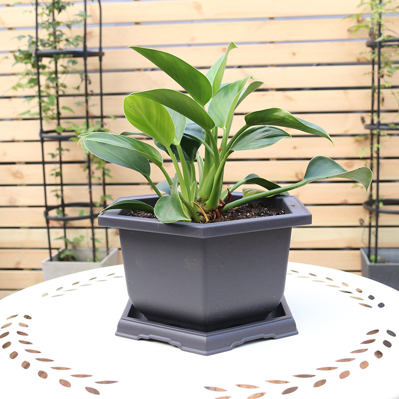 Wholesale generation hair imitation purple sand flower pot plastic thickened hexagonal orchid flower pot rectangular bonsai pot fleshy flower pot