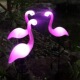 One drag three flamingos