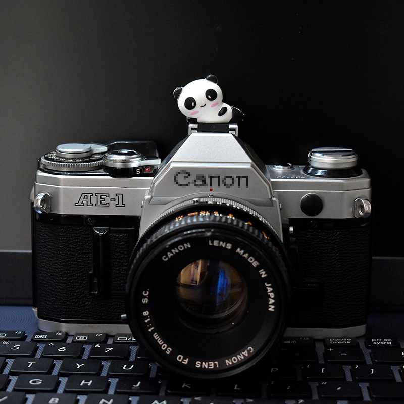 Panda camera hot boot cover hot boot protective cover cartoon for Fuji Lycra Canon Nikon SLR micro single universal