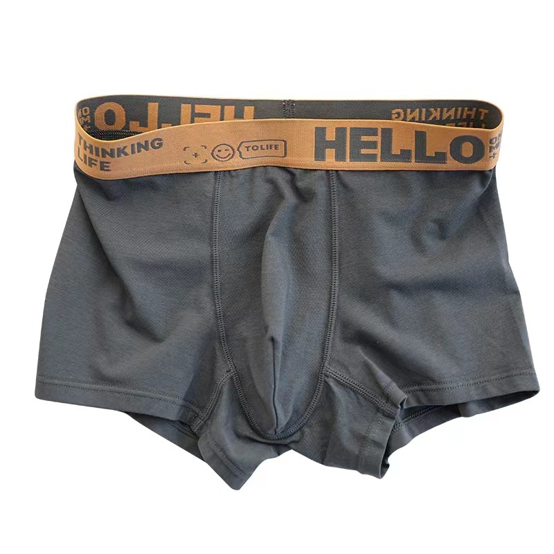 Men's underwear autumn and winter men's cotton crotch explosion comfortable plus size boxer pants simple breathable boxer shorts pants head batch