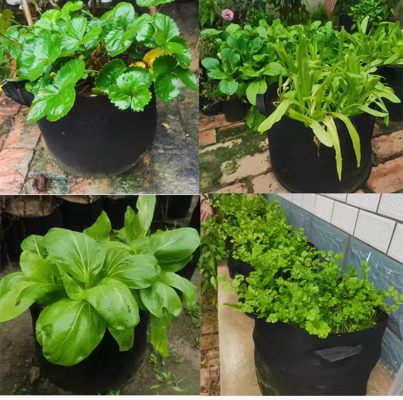 Foreign trade felt planting bag grow bag thickened non-woven bag Black Plant bag gardening flower pot wholesale